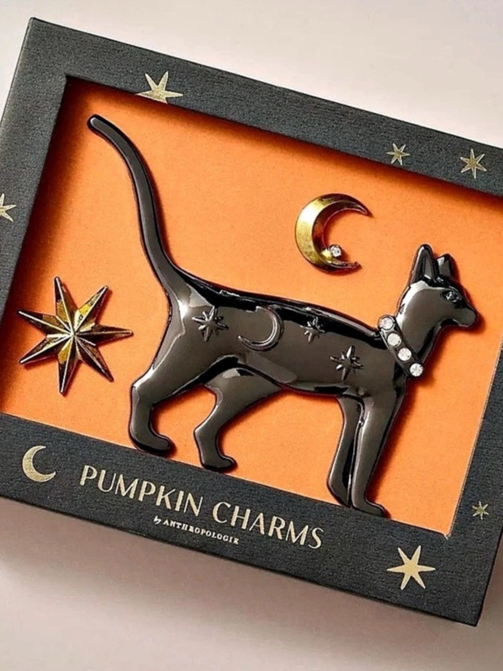 Anthropologie Pumpkin Charms - Cat Black & Orange Brooch Set